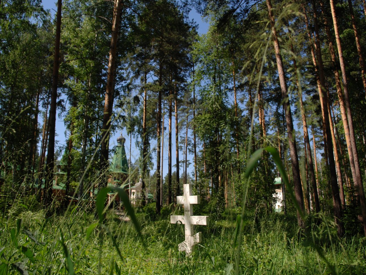 I Just Took a DNA&nbsp;Test…