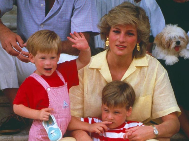 Rebel With A&nbsp;Cause